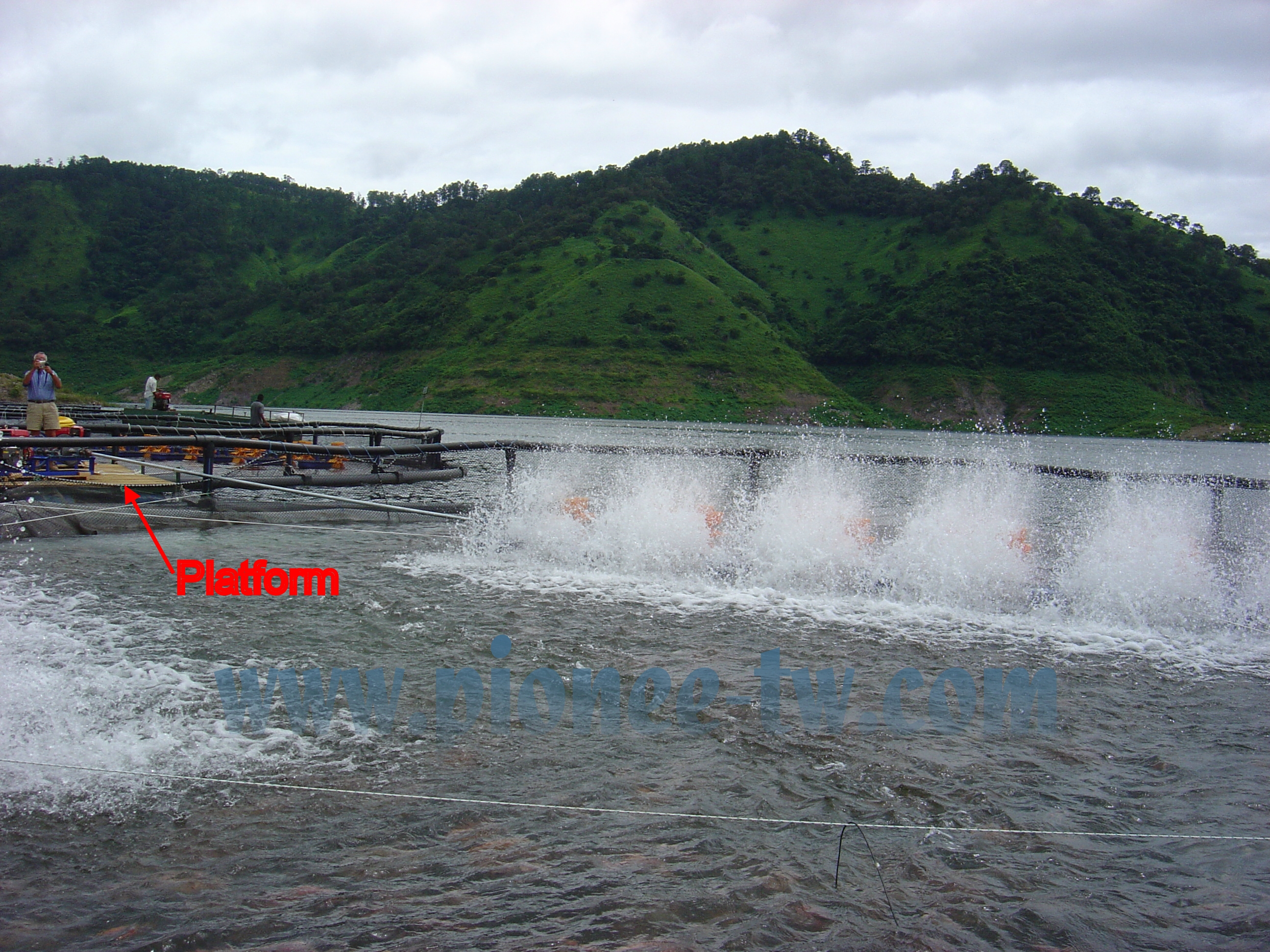 le marché des crevettes passera à 6,5 millions de tonnes métriques d'ici...